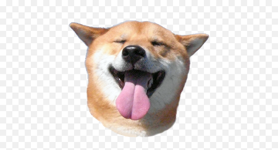 Dogecoin - Shibe Png Emoji,Doge Transparent Background