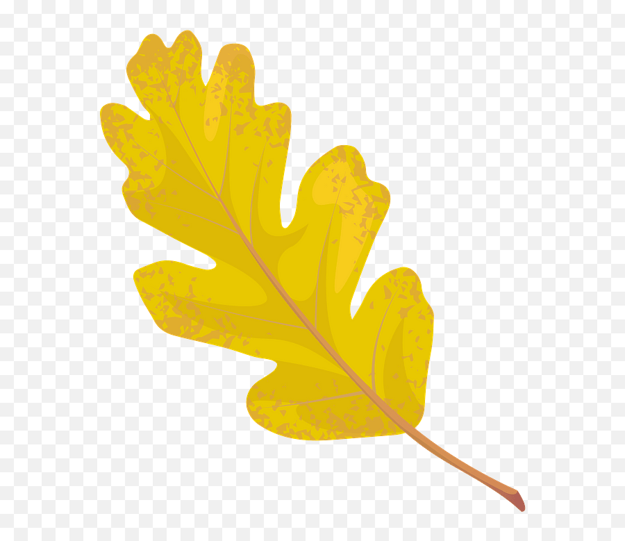 Valley Oak Autumn Leaf Clipart - White Oak Png Download Art Emoji,Leaf Clipart
