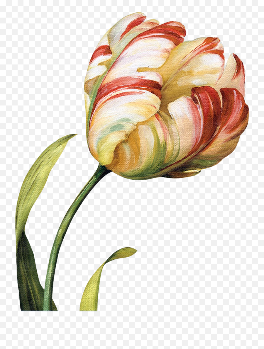 Download Tulips Flowers Abstract Flowers Flower Art Emoji,Flower Art Png
