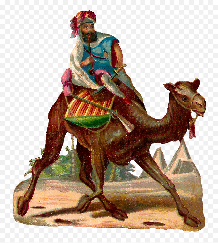 Camel Clipart Png - Camel Rider Image Digital Camel Camel Rider No Background Emoji,Camel Clipart