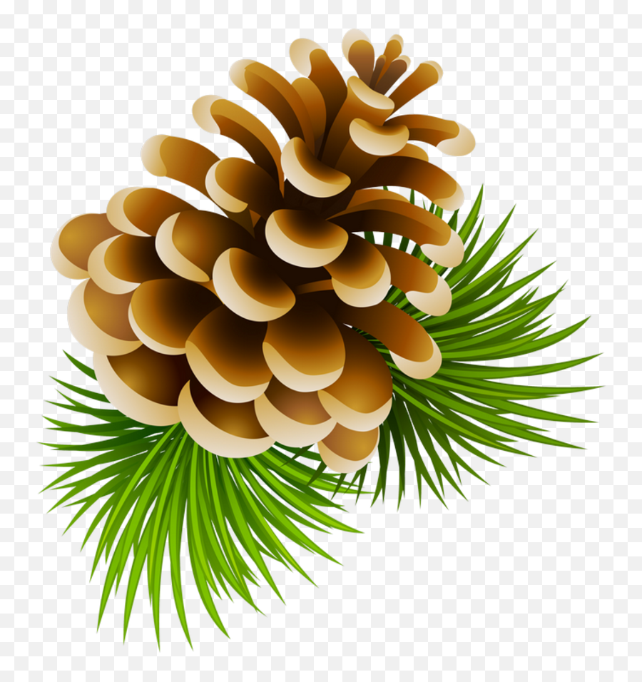 Download Pine Cone Clipart Png Image With No Background - Kozalak Çizimi Sulu Boya Emoji,Cone Clipart