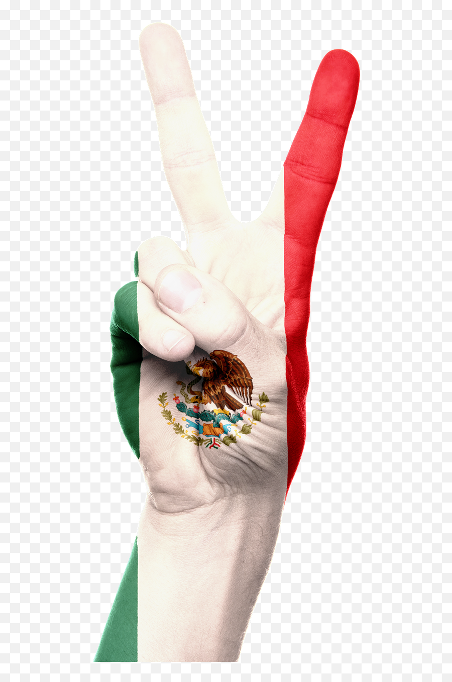 Mexico Flag Hand National Pride Png - Sign Language Emoji,Mexico Flag Png
