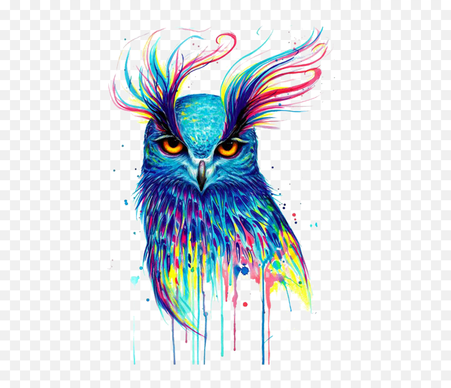 Owl Illustration Png Image Free Download Searchpngcom - Watercolor Owl Emoji,Owl Png