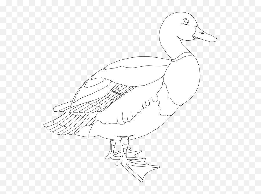 Black And White Duck Clip Art At Clker - Domestic Duck Emoji,Duck Clipart Black And White