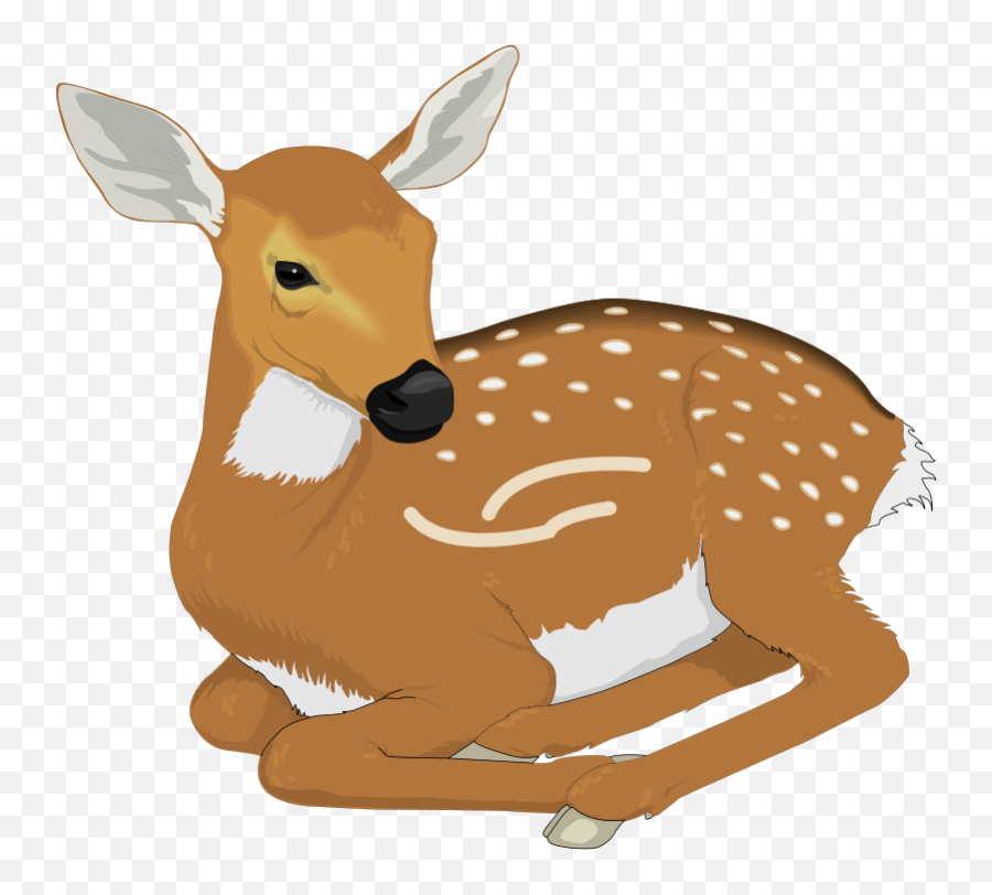 Deer Clipart Free Hunting Free Clipart - Deer Clipart Emoji,Deer Clipart