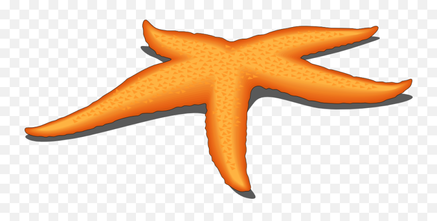 Starfish Clipart Transparent - Starfish Clipart Png Emoji,Starfish Clipart