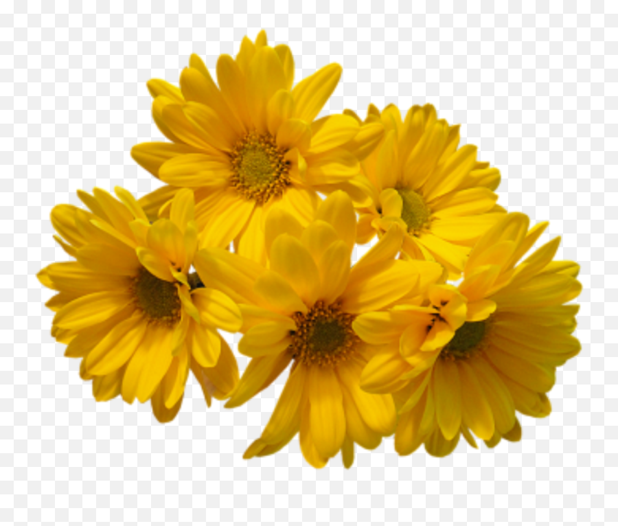 Download Yellow Flowers Bouquet - Yellow Flowers Png Emoji,Flower Transparent