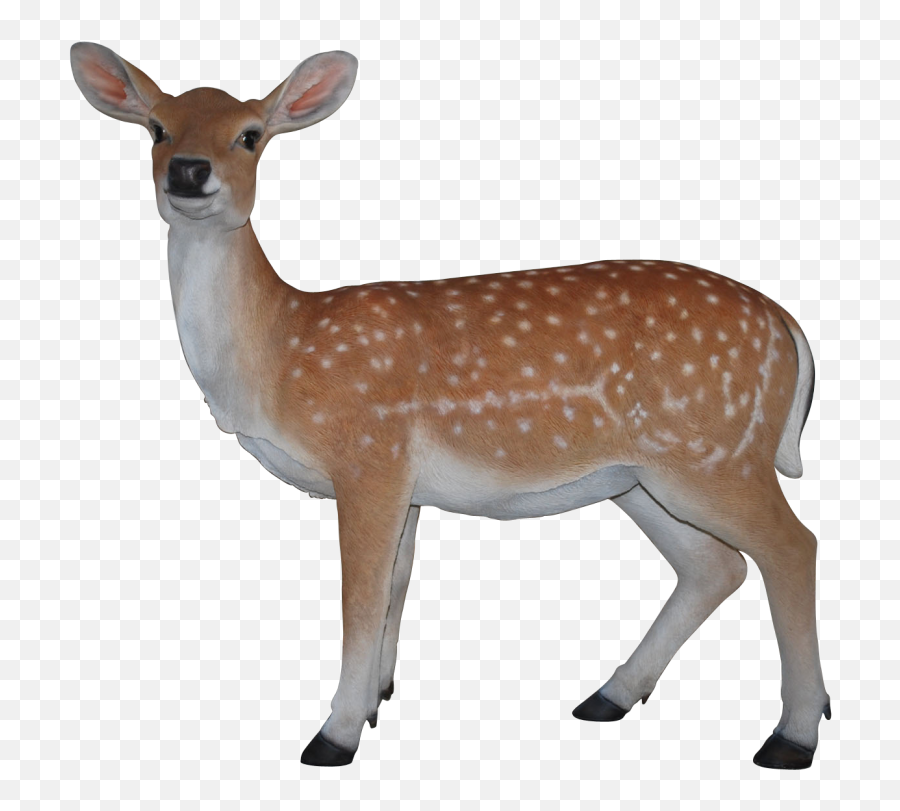 Deer Clipart Real Deer - Deer Png Real Emoji,Deer Clipart
