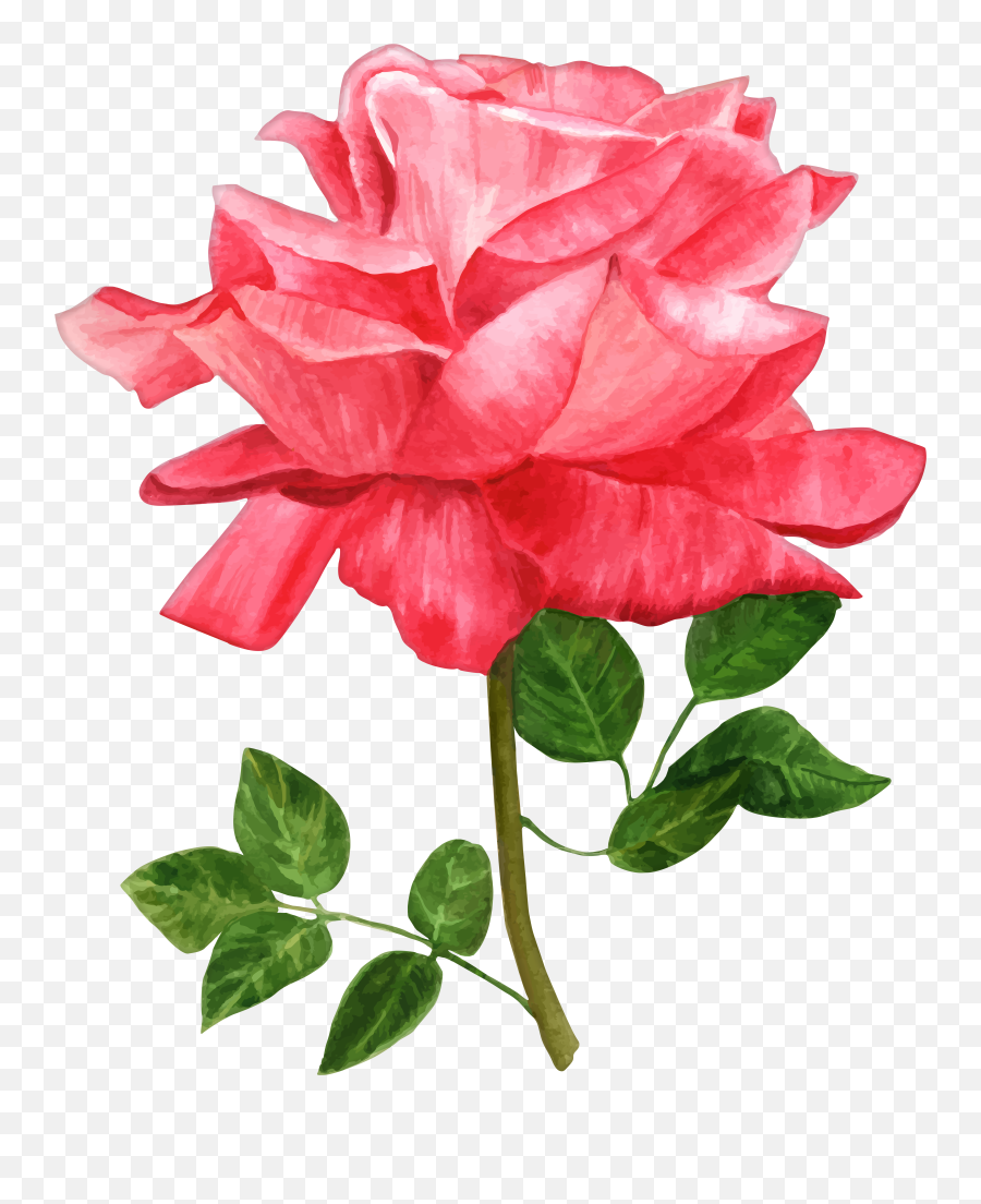 Rose Clipart Watercolor - Png Download Full Size Clipart Emoji,Watercolor Png