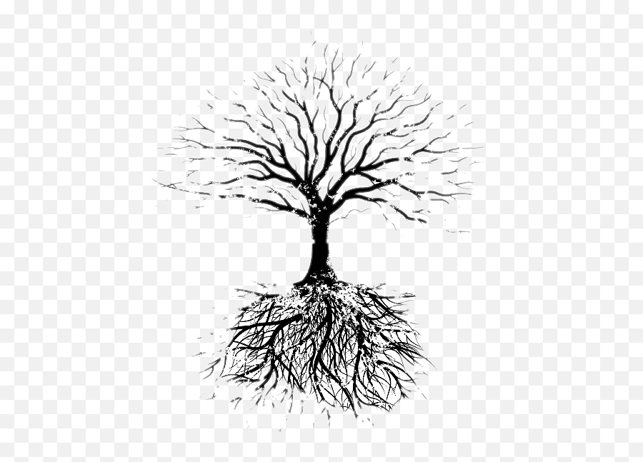 Fruit Tree Root Drawing Faribault Evangelical Free Church Emoji,Tree With Roots Clipart