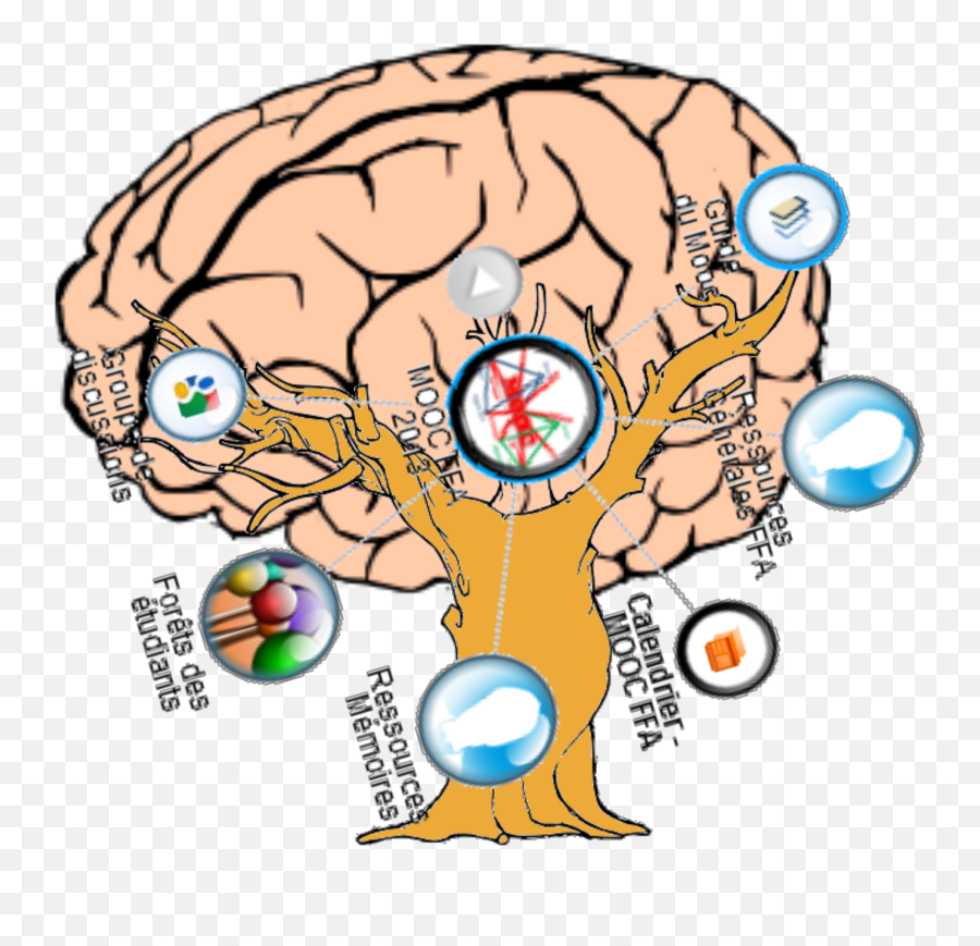 Brain Svg Vector Brain Clip Art - Svg Clipart Emoji,Brain Outline Clipart