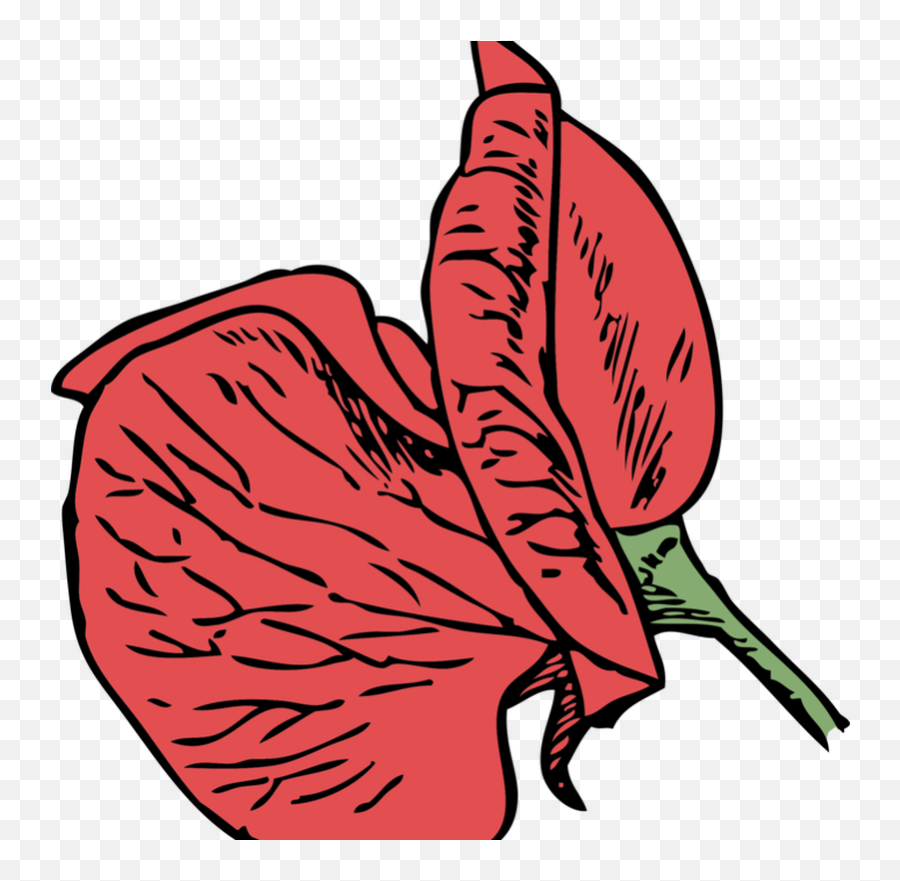 Sweet Pea Drawing Flower Vine Transparent Png - Free Emoji,Flower Vines Clipart