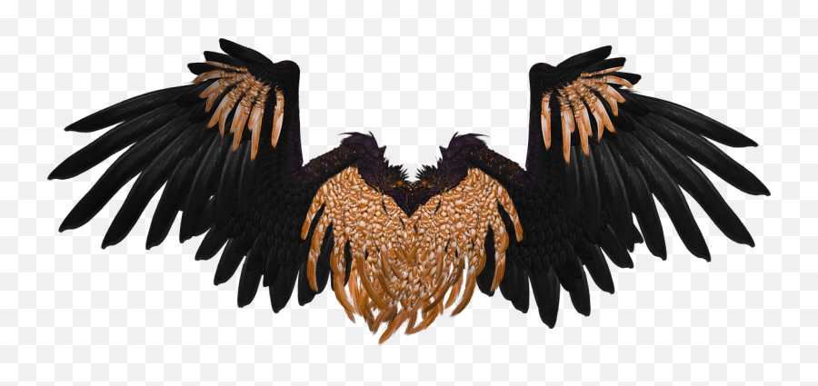 Crow Wings Png Transparent Png Png - Gold And Black Wings Emoji,Wing Png