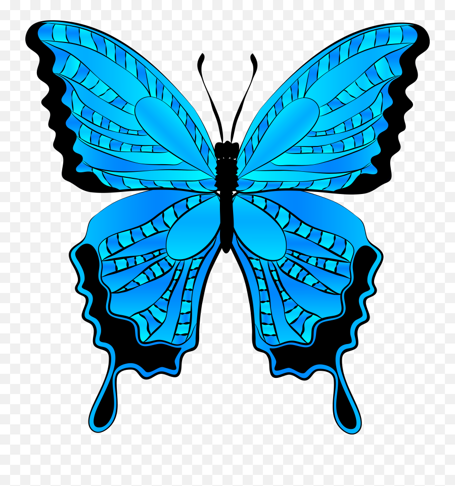 Butterfly Clipart Free Clipart Images - Blue Butterfly Clipart Emoji,Butterfly Clipart