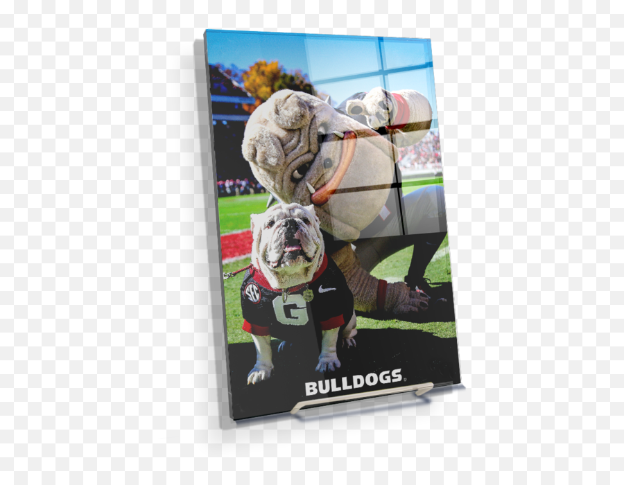 Georgia Bulldogs - Uga U0026 Hairy The Dawg Collar Emoji,Georgia Bulldog Logo