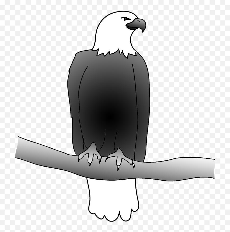 Bald Eagle Drawings - Bald Eagle On A Branch Drawing Emoji,Bald Eagle Clipart