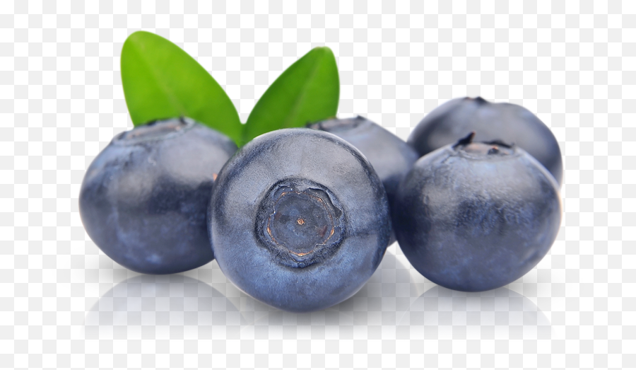 Blueberries Png - Transparent Background Blueberry Png Emoji,Blueberry Clipart