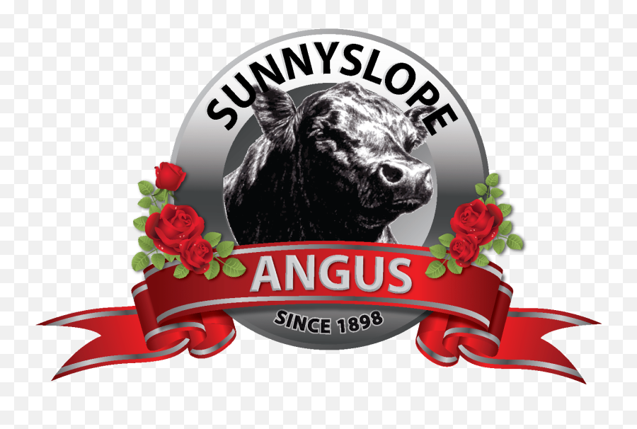 Sunnyslope Angus - Registered Black Angus Cattle Since 1898 Rose Emoji,Black Bulls Logo