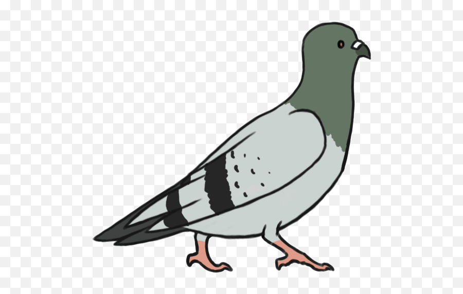 Cute Pigeon Clipart - Animated Pigeon Gif Emoji,Pigeon Clipart