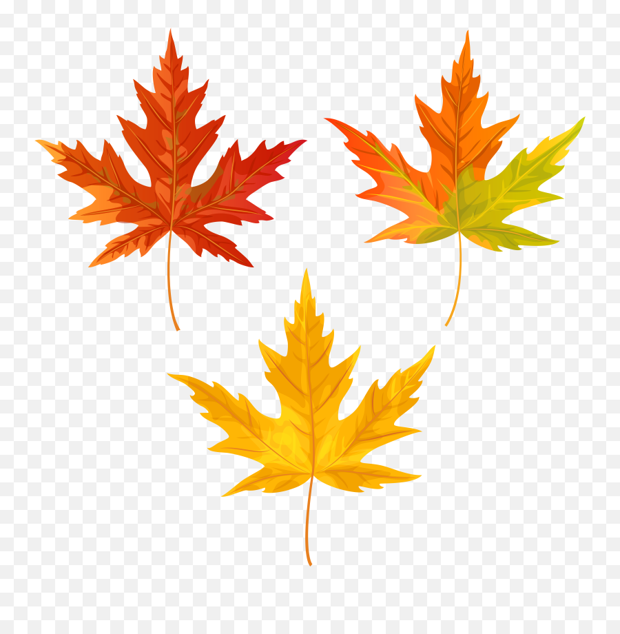 Download Orange Fall Leaves Clipart Png Photo - Maple Leaf Png Transparent Background Fall Leaves Clip Art Png Emoji,Leaf Clipart