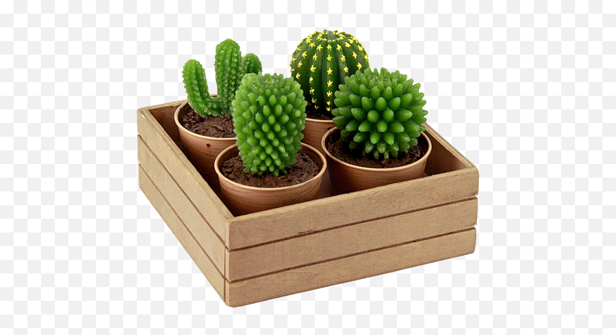 Cactus Png Image - Vertical Emoji,Cactus Png