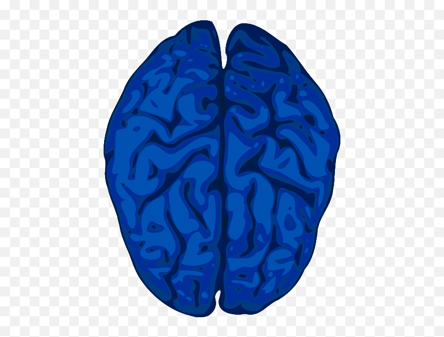 Blue Brain Clip Art At Clkercom - Vector Clip Art Online Emoji,Brain Outline Clipart