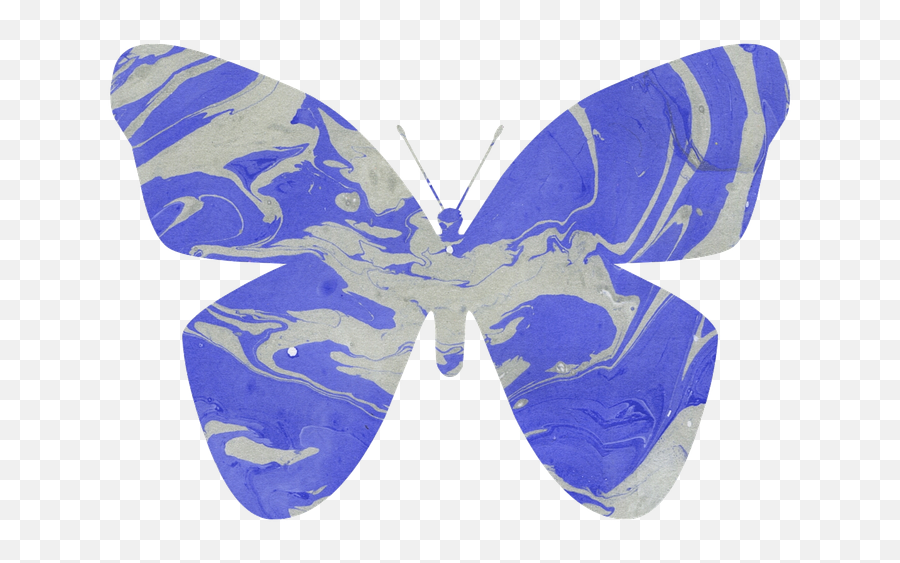 Butterfly Blue Nature - Free Image On Pixabay Emoji,Blue Butterfly Clipart