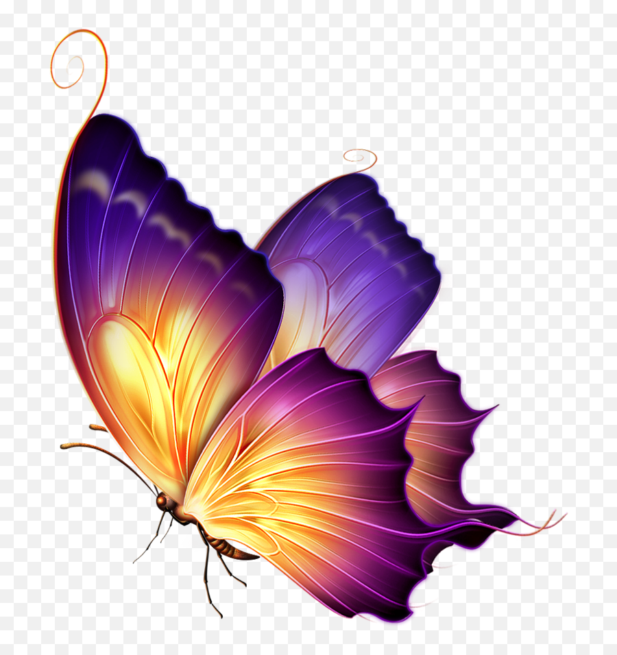 Butterfly Clipart Png Image Free - Watercolor Transparent Butterfly Art Emoji,Butterfly Clipart