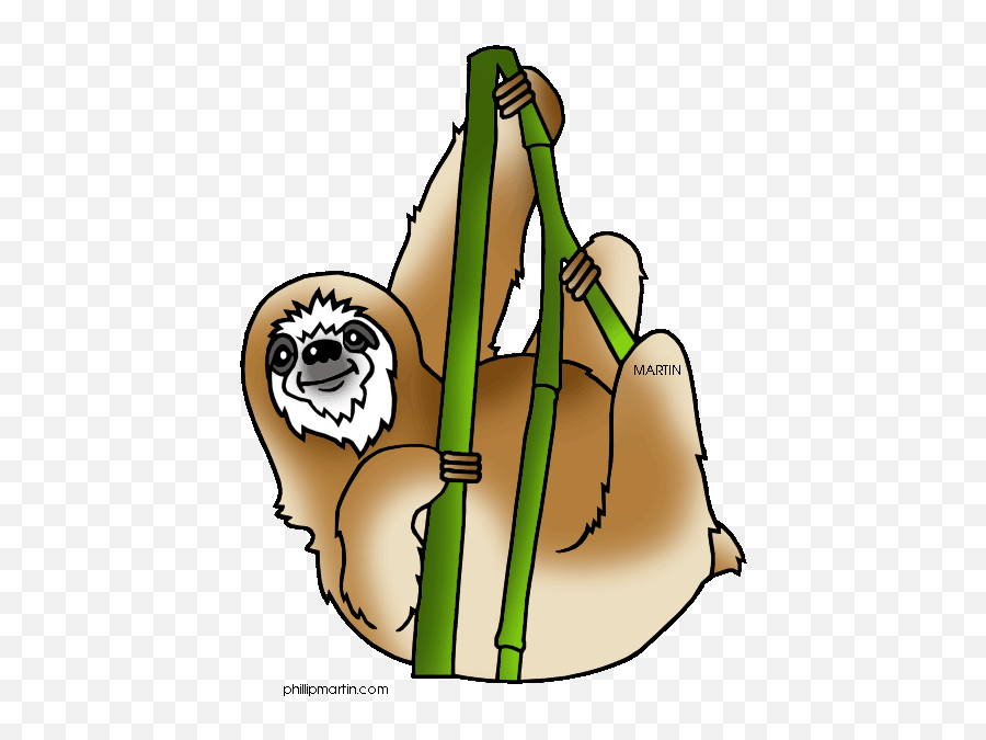 Rainforest Animals Clipart 3 - Rainforest Animal Clipart Emoji,Animal Clipart