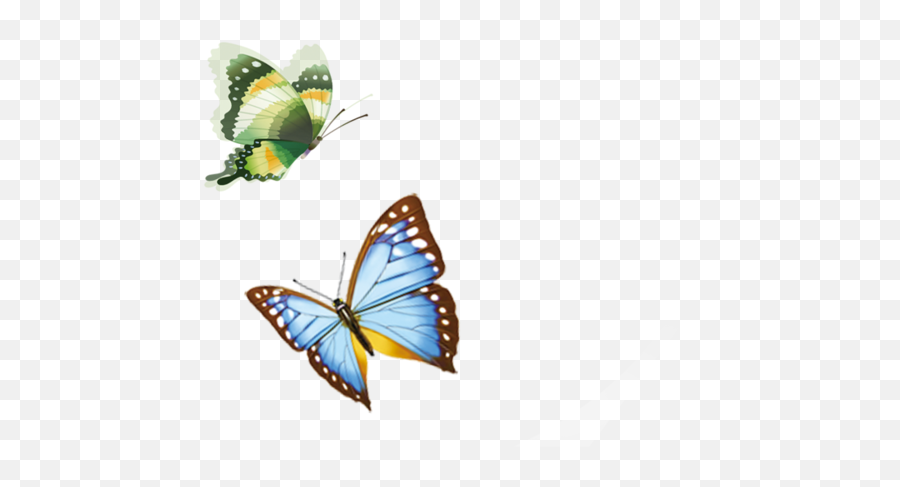 Butterfly - Butterfly Flying Png Download 658658 Free Emoji,Butterfly Transparent