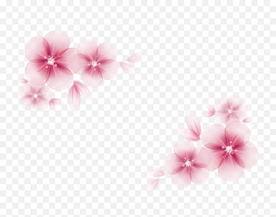 Vector Png Transparent Flower Pink - Transparent Border Pink Flower Png Emoji,Mexican Flowers Png