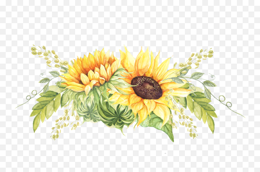 Watercolor Sunflowers Floral Sticker By Stephanie Emoji,Watercolor Sunflower Png