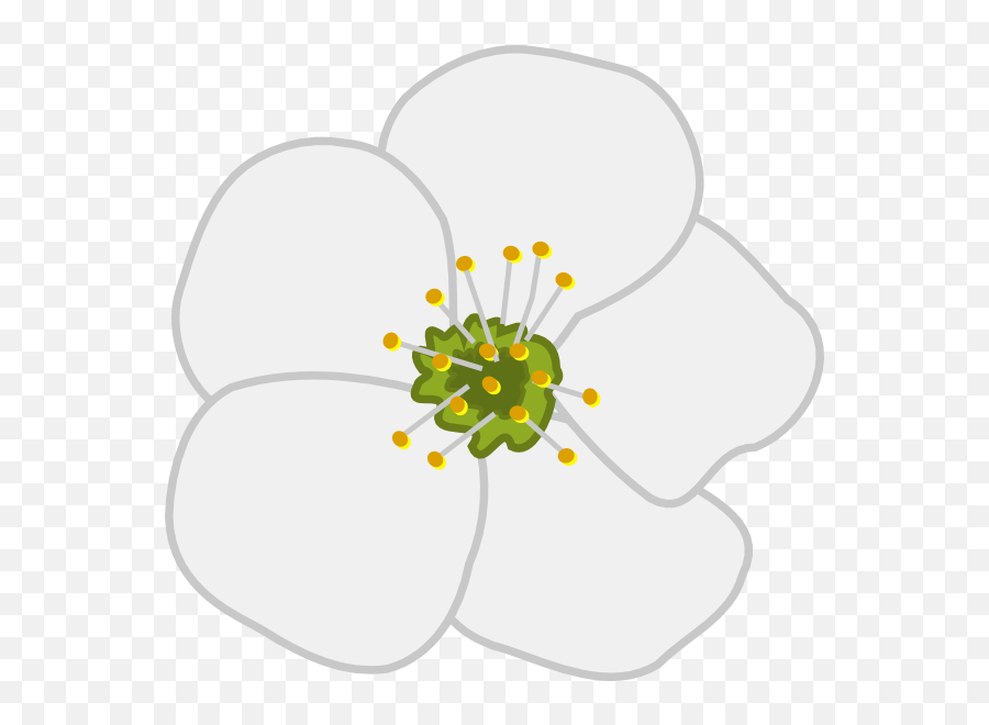 Cherry Flower Clip Art At Clkercom - Vector Clip Art Online Cherry Blossom Flower Clipart White Emoji,Cherry Blossom Clipart