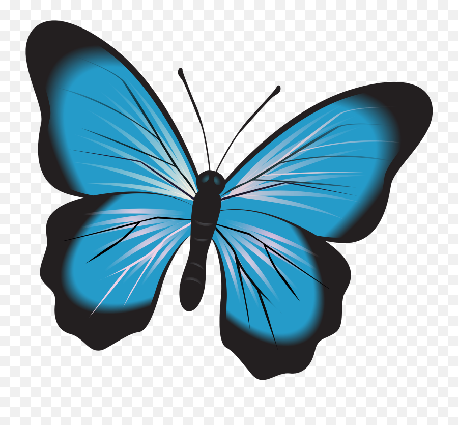 Blue Butterfly Clipart - Blue Butterfly Clipart Emoji,Butterfly Clipart