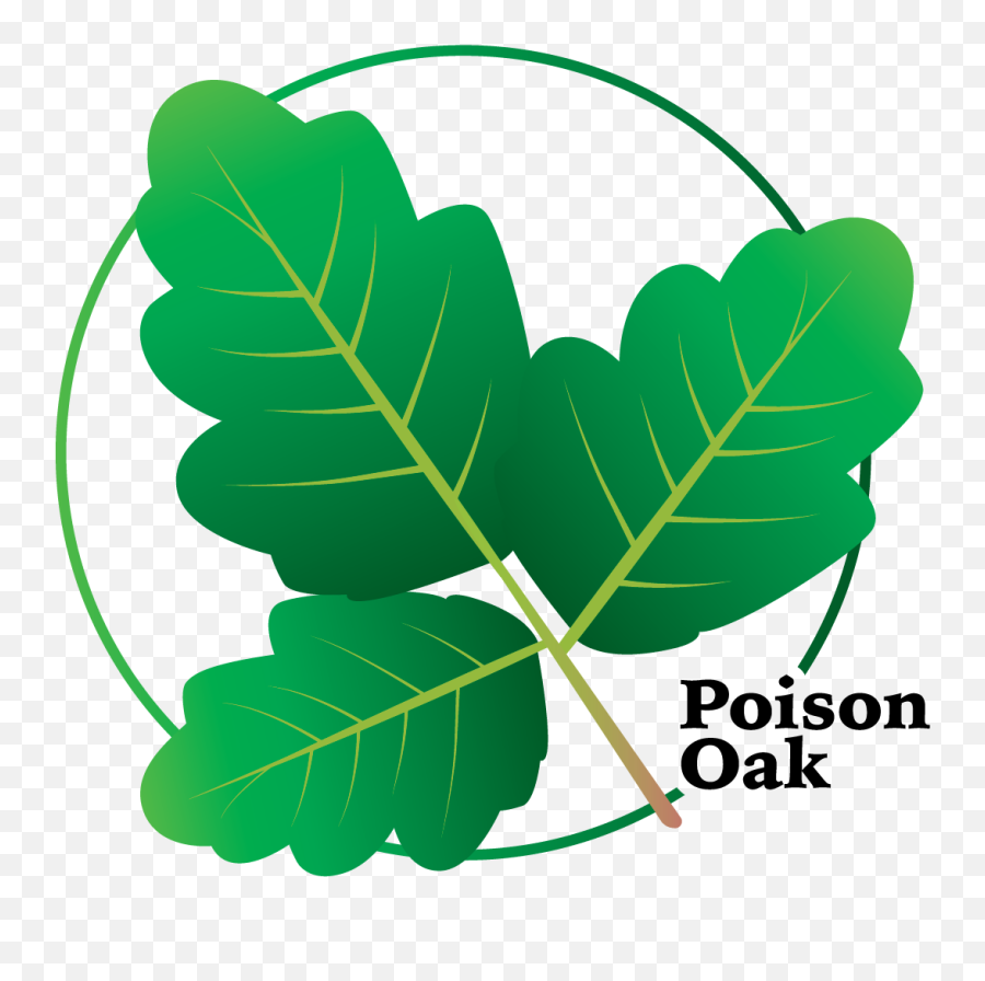 Download Aitex Logo Design Poison Oak 1 - Cartoon Poison Oak Clipart Emoji,Poison Logo