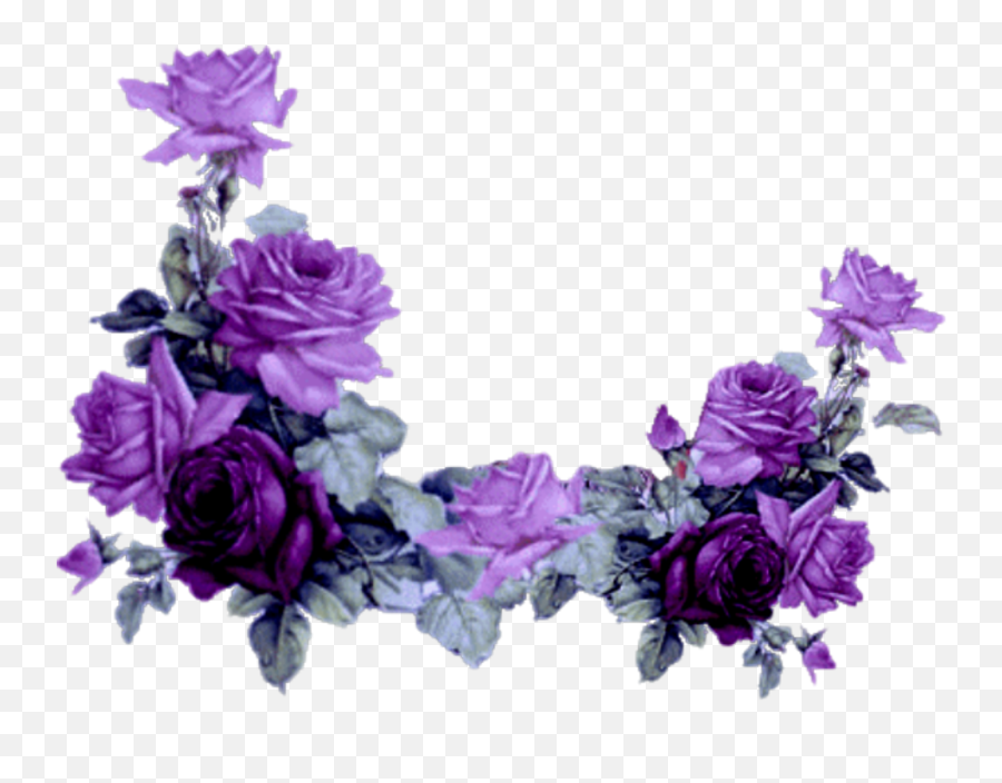 Mq Purple Roses Rose Border Borders - Purple Roses Corner Border Emoji,Rose Border Png
