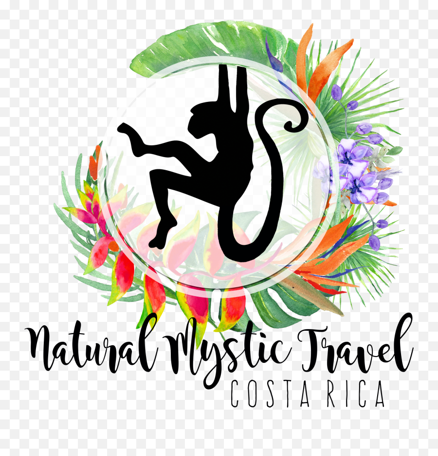 Natural Mystic Travel - Meaning Of Buff Emoji,Mystic Logo