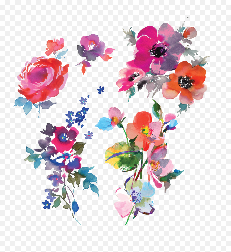 Floral Watercolor Png Image With No Emoji,Florals Png