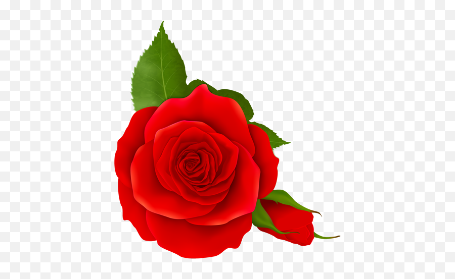 Single Red Rose Transparent Vector Png - Floral Emoji,Roses Transparent