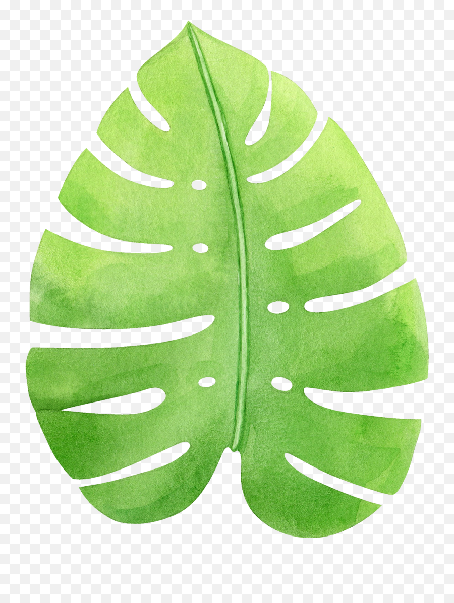 Watercolor Tropical Monstera Leaf Png Transparent Emoji,Tropical Leaf Png