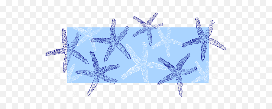 Blue White Starfish Clip Art At Clker - Clip Art Blue Seashell Emoji,Starfish Clipart