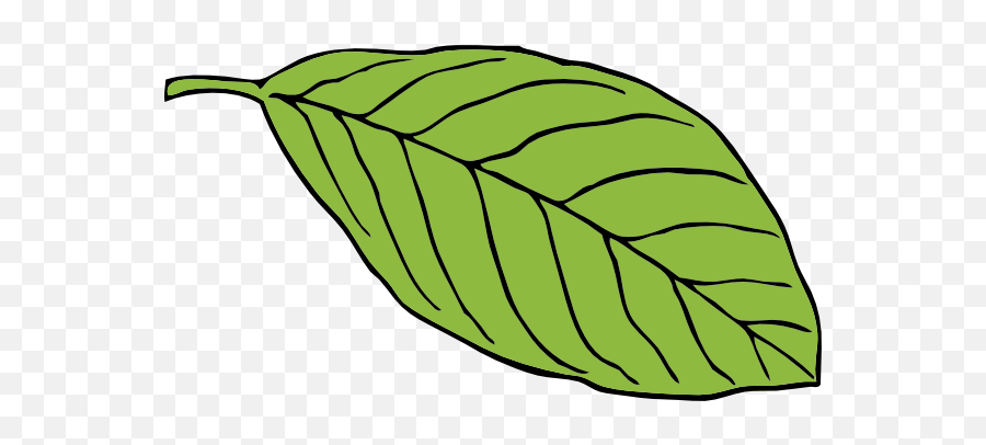 Palm Leaf Outline - Clipart Best Leaf Clip Art Outline Emoji,Tropical Leaf Clipart
