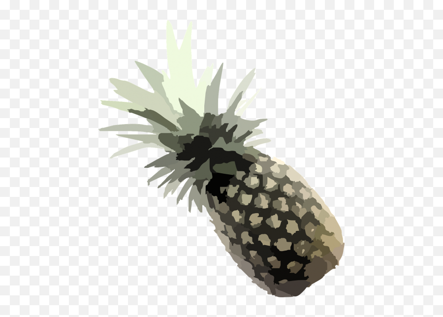 Pineappledried Fruitfruitdrieddried Fruits - Free Image Emoji,Pineapple Clipart Png