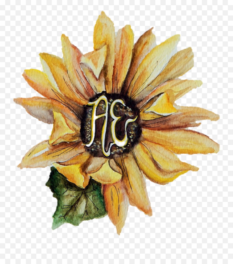 Curriculum Vitae U2014 Ariana Enriquez Emoji,Watercolor Sunflower Png