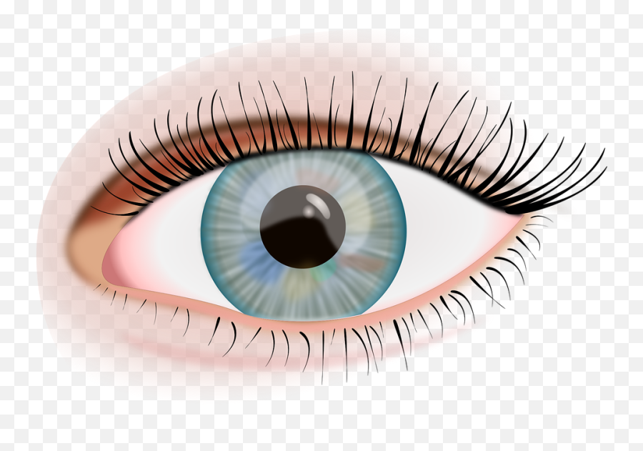 Eye Iris View - Free Vector Graphic On Pixabay Emoji,Ojos Png