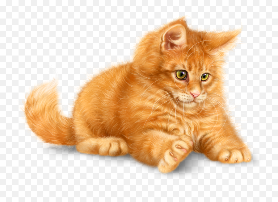 Pin By Ironjfarm On Cute Clipart 2 Animals Cute Cats Cats Emoji,Fluffy Cat Clipart