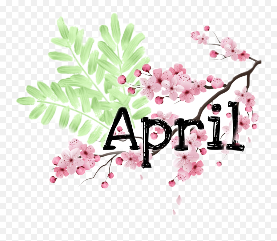 Cherry Leaves April Blossom Sticker By Leonamueller - Run For Your Life Emoji,Cherry Blossom Clipart