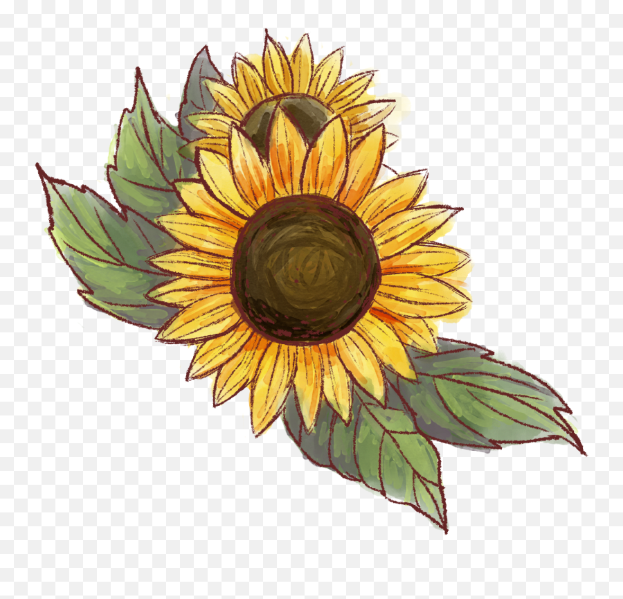 Sunflower Transparent Cartoon - Cute Sunflower Png Emoji,Sunflower Transparent