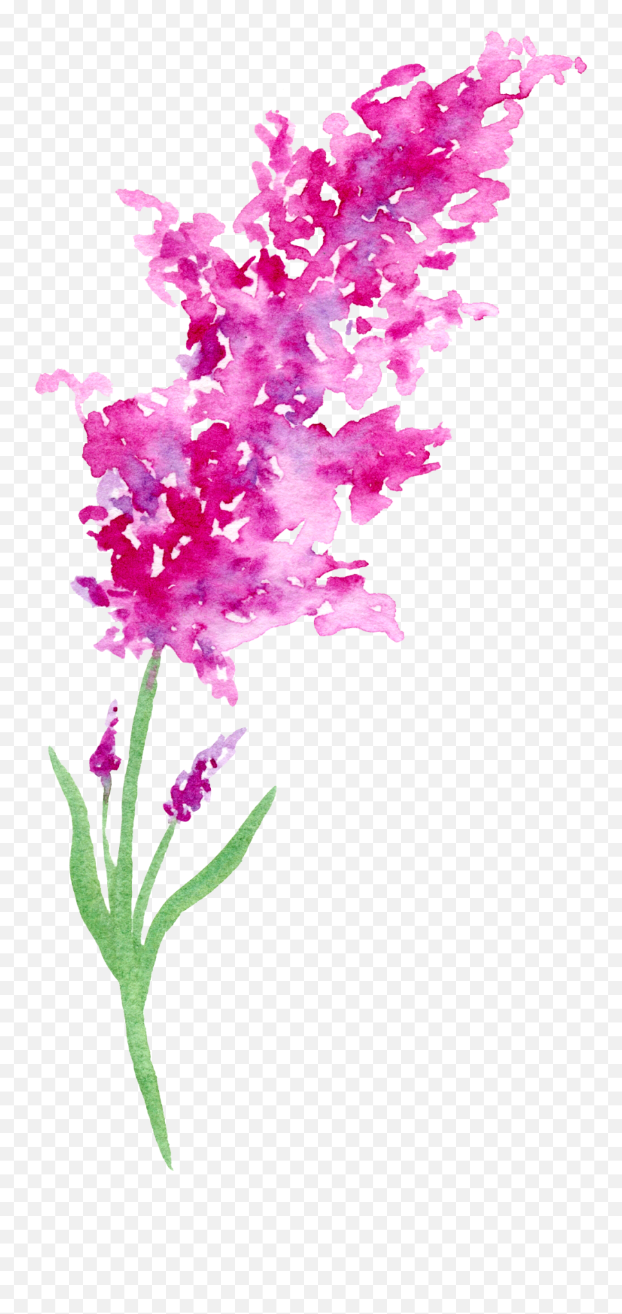 044 Loose Watercolor Flowers Floral Watercolor - Watercolor Flower Natalie Graham Artist Emoji,Watercolor Heart Png