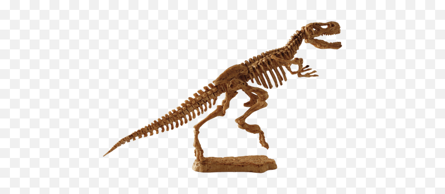 T - Rex Fossil Transparent Png Stickpng Fossil Transparent Emoji,Trex Png
